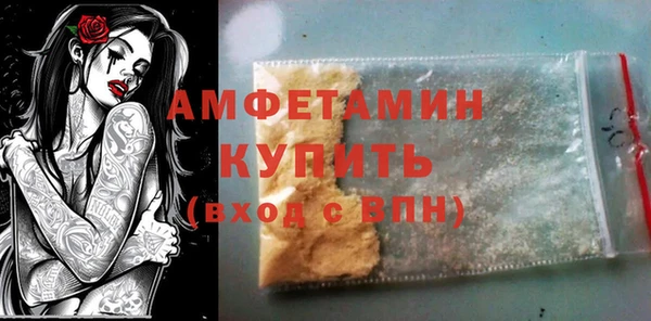 индика Вяземский