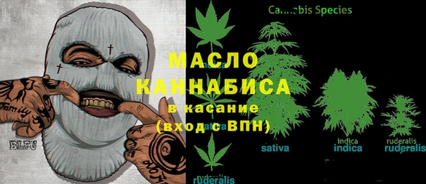 стаф Абаза