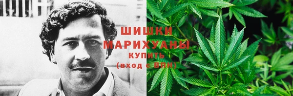 стаф Абаза